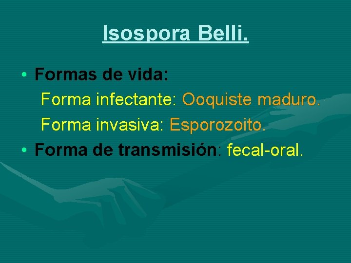 Isospora Belli. • Formas de vida: Forma infectante: Ooquiste maduro. Forma invasiva: Esporozoito. •