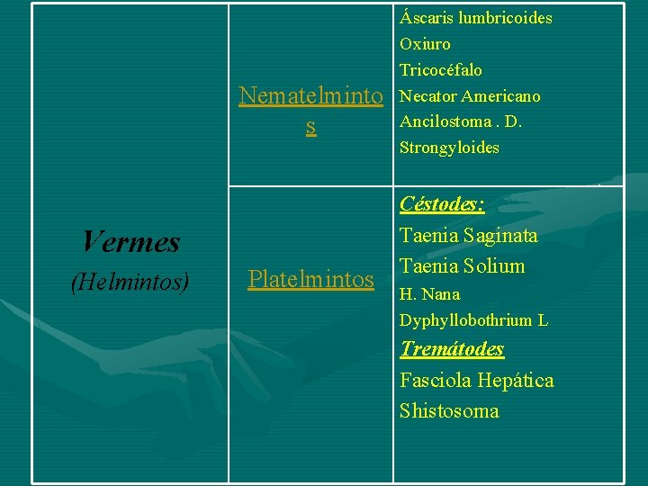 Nematelminto s Vermes (Helmintos) Platelmintos Áscaris lumbricoides Oxiuro Tricocéfalo Necator Americano Ancilostoma. D. Strongyloides