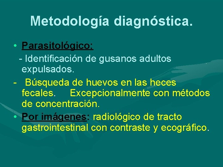 Metodología diagnóstica. • Parasitológico: - Identificación de gusanos adultos expulsados. - Búsqueda de huevos