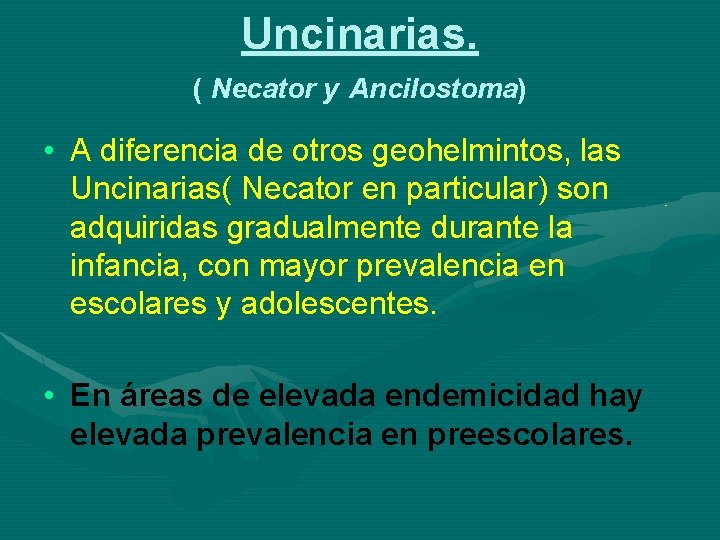 Uncinarias. ( Necator y Ancilostoma) • A diferencia de otros geohelmintos, las Uncinarias( Necator