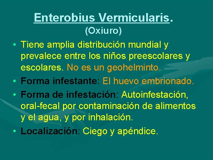 Enterobius Vermicularis. • • (Oxiuro) Tiene amplia distribución mundial y prevalece entre los niños