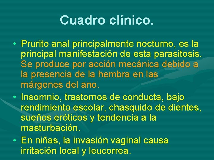 Cuadro clínico. • Prurito anal principalmente nocturno, es la principal manifestación de esta parasitosis.