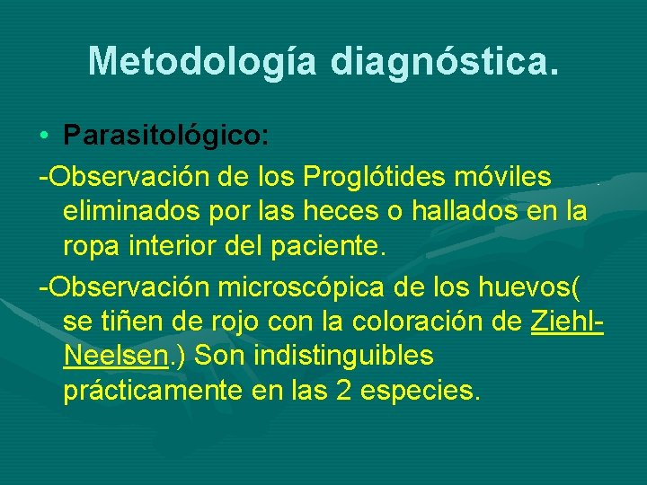 Metodología diagnóstica. • Parasitológico: -Observación de los Proglótides móviles eliminados por las heces o