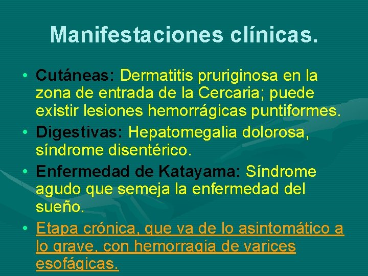 Manifestaciones clínicas. • Cutáneas: Dermatitis pruriginosa en la zona de entrada de la Cercaria;