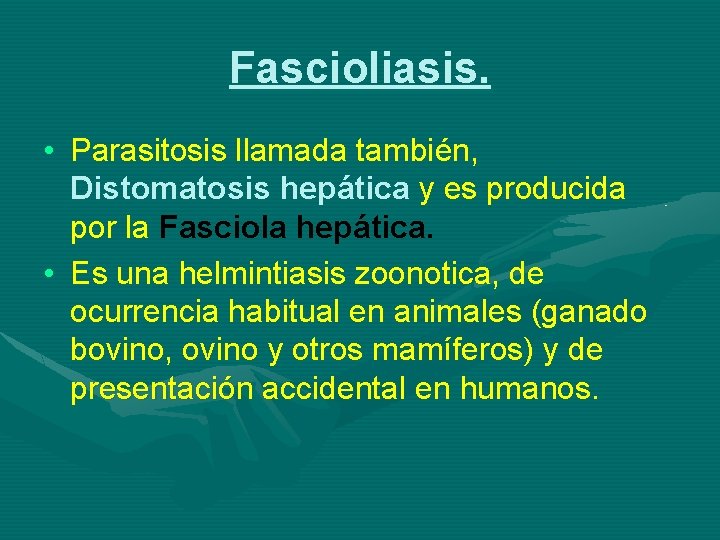 Fascioliasis. • Parasitosis llamada también, Distomatosis hepática y es producida por la Fasciola hepática.