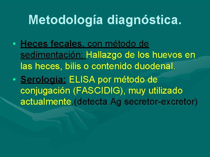 Metodología diagnóstica. • Heces fecales, con método de sedimentación: Hallazgo de los huevos en