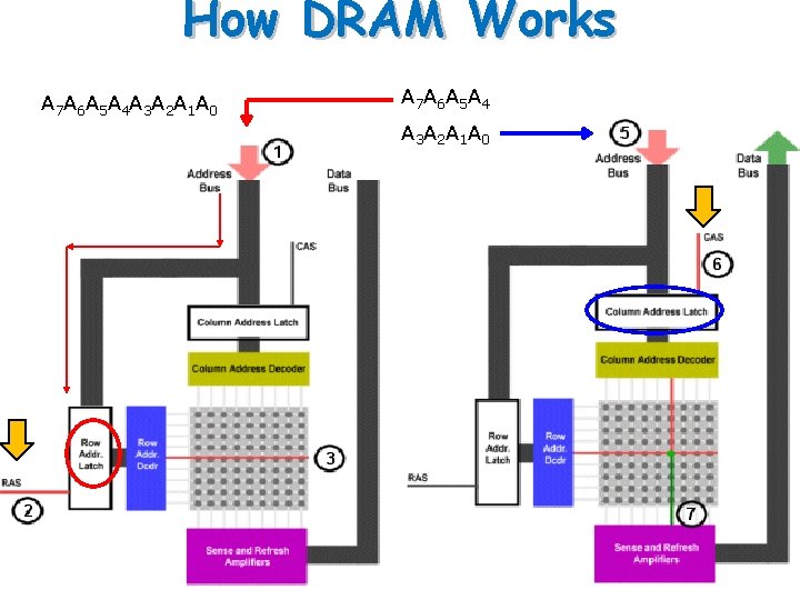 How DRAM Works A 7 A 6 A 5 A 4 A 3 A