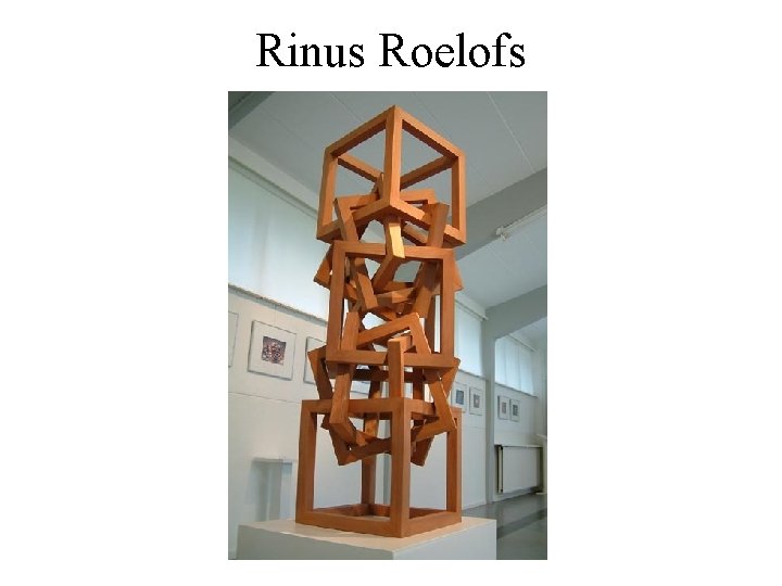 Rinus Roelofs 