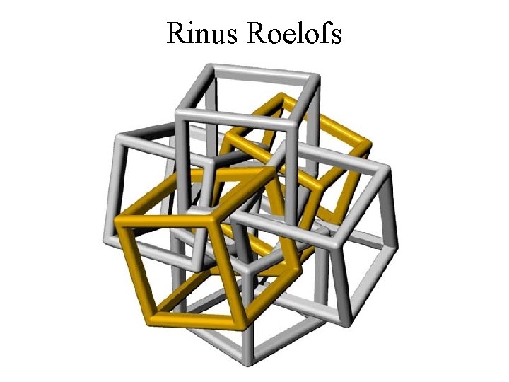 Rinus Roelofs 