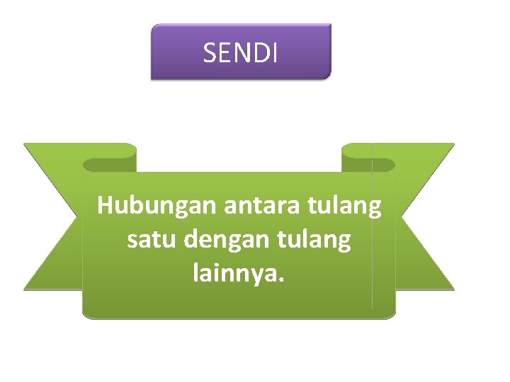 SENDI Hubungan antara tulang satu dengan tulang lainnya. 