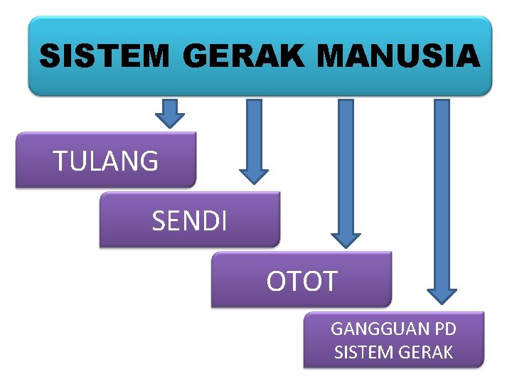 SISTEM GERAK MANUSIA TULANG SENDI OTOT GANGGUAN PD SISTEM GERAK 