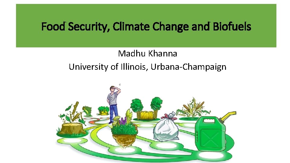 Food Security, Climate Change and Biofuels Madhu Khanna University of Illinois, Urbana-Champaign 