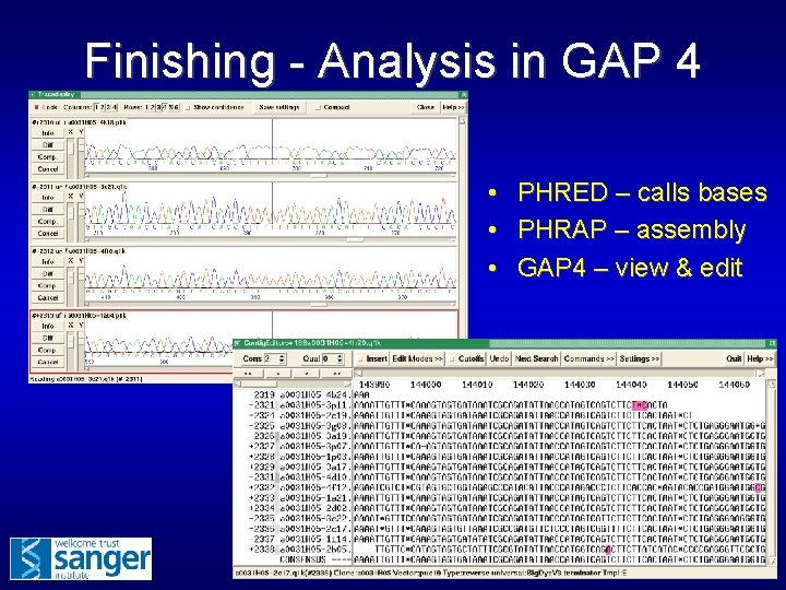 Finishing - Analysis in GAP 4 • • • PHRED – calls bases PHRAP
