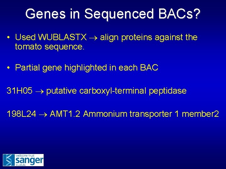 Genes in Sequenced BACs? • Used WUBLASTX align proteins against the tomato sequence. •