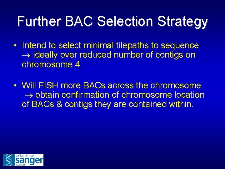 Further BAC Selection Strategy • Intend to select minimal tilepaths to sequence ideally over