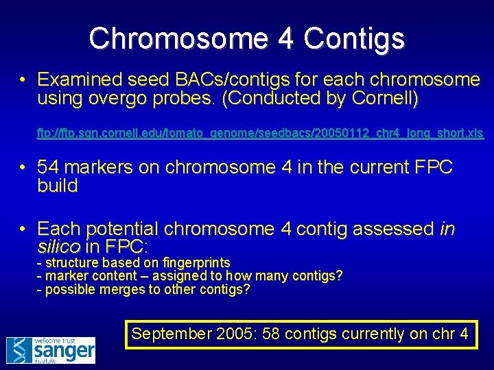Chromosome 4 Contigs • Examined seed BACs/contigs for each chromosome using overgo probes. (Conducted