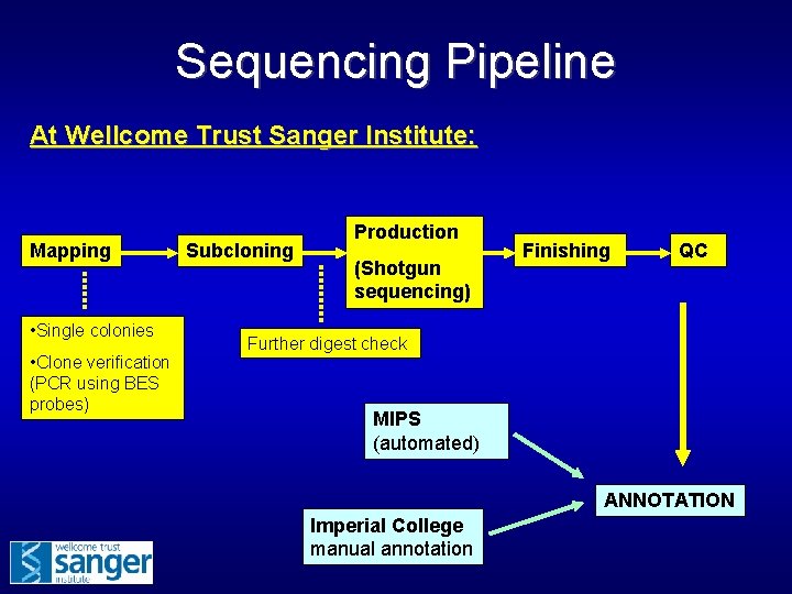 Sequencing Pipeline At Wellcome Trust Sanger Institute: Mapping • Single colonies • Clone verification