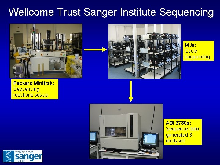 Wellcome Trust Sanger Institute Sequencing MJs: Cycle sequencing Packard Minitrak: Sequencing reactions set-up ABI