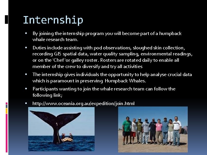 Internship By joining the internship program you will become part of a humpback whale