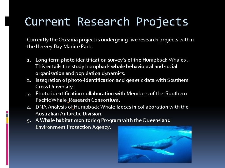 Current Research Projects Currently the Oceania project is undergoing five research projects within the