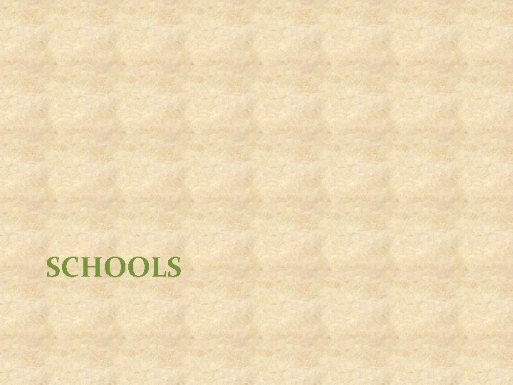 SCHOOLS 