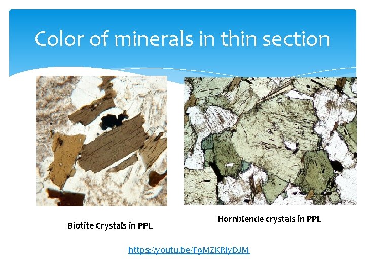 Color of minerals in thin section Biotite Crystals in PPL Hornblende crystals in PPL