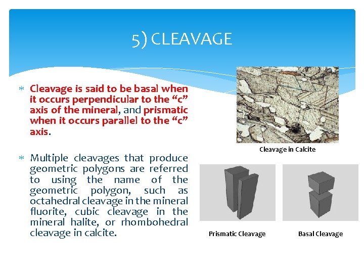 5) CLEAVAGE Cleavage is said to be basal when it occurs perpendicular to the