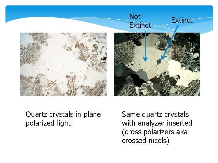 Not Extinct Quartz crystals in plane polarized light Extinct Same quartz crystals with analyzer