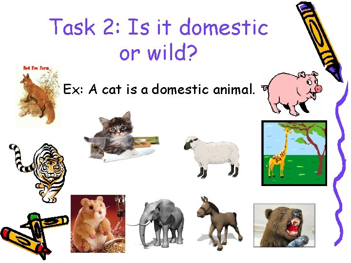 Task 2: Is it domestic or wild? Ex: A cat is a domestic animal.