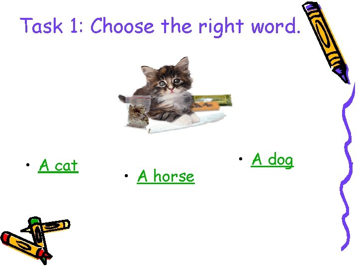 Task 1: Choose the right word. • A cat • A horse • A