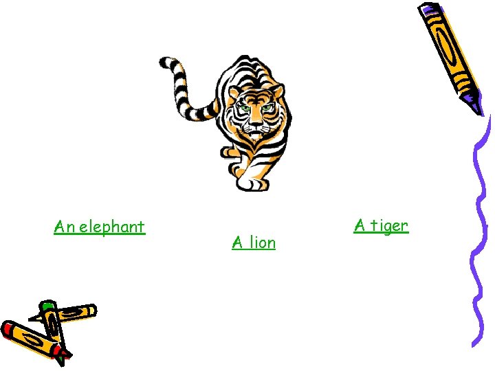 An elephant A lion A tiger 