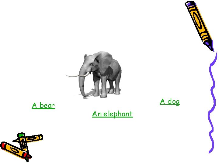 A bear A dog An elephant 
