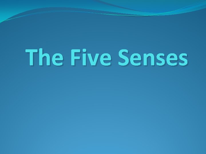 The Five Senses 