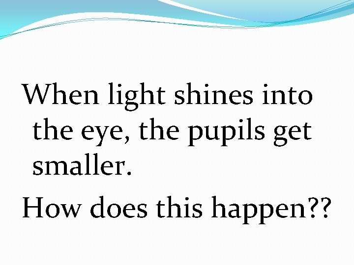 When light shines into the eye, the pupils get smaller. How does this happen?