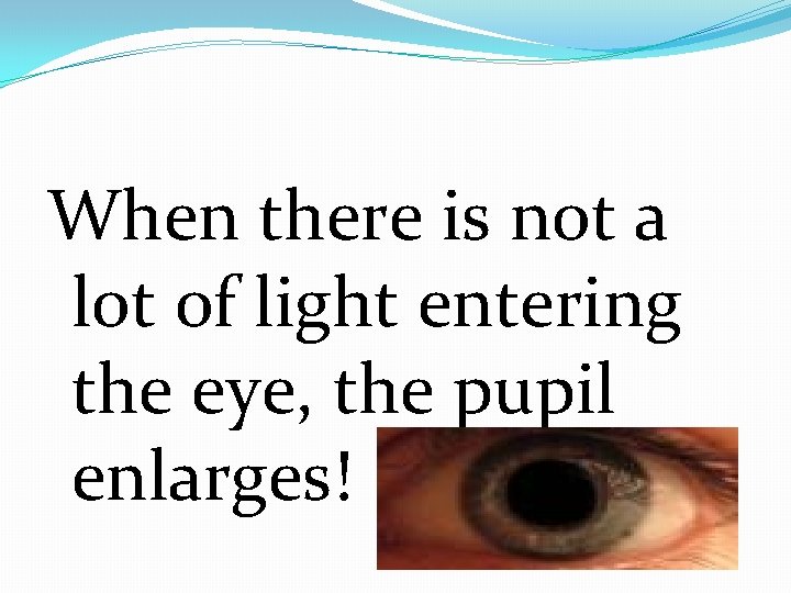 When there is not a lot of light entering the eye, the pupil enlarges!