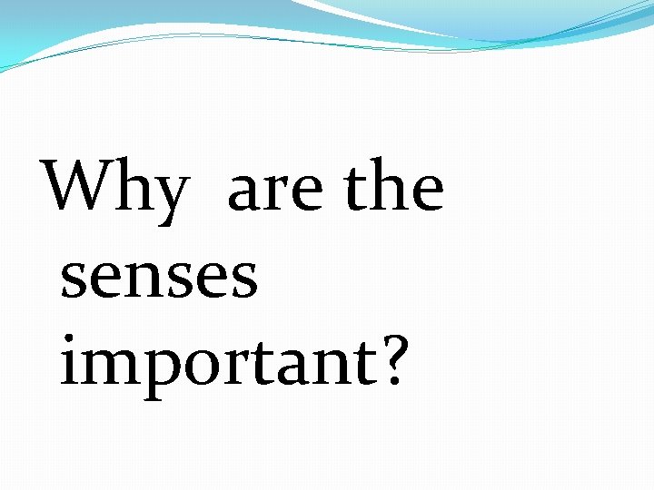 Why are the senses important? 