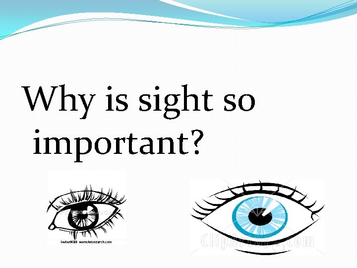 Why is sight so important? 