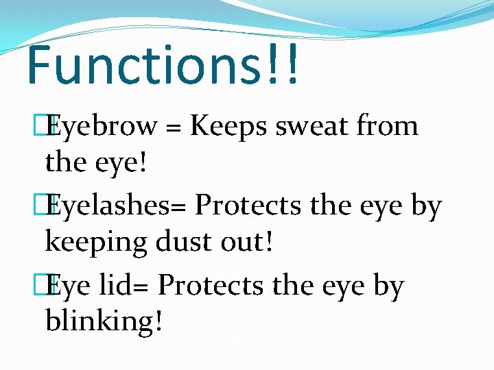 Functions!! �Eyebrow = Keeps sweat from the eye! �Eyelashes= Protects the eye by keeping