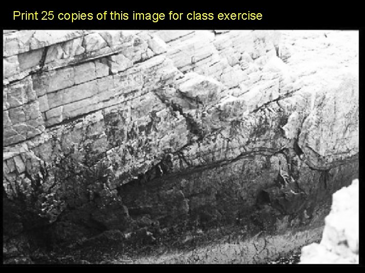 Print 25 copies of this image for class exercise 