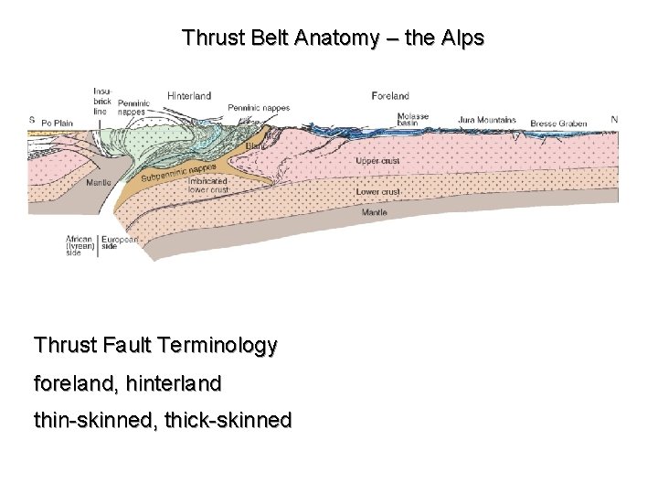 Thrust Belt Anatomy – the Alps Thrust Fault Terminology foreland, hinterland thin-skinned, thick-skinned 