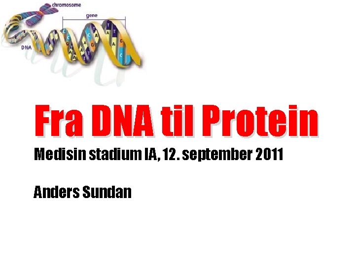 Fra DNA til Protein Medisin stadium IA, 12. september 2011 Anders Sundan 