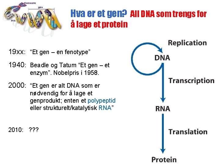 Hva er et gen? All DNA som trengs for å lage et protein 19