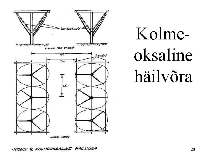 Kolmeoksaline häilvõra 20 