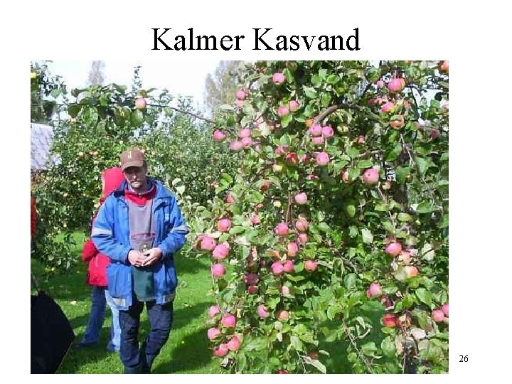 Kalmer Kasvand 26 