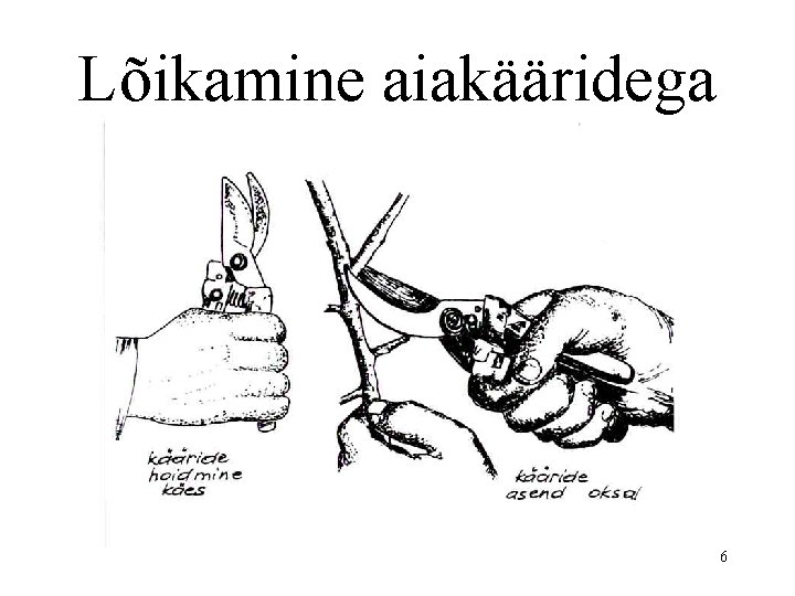 Lõikamine aiakääridega 6 