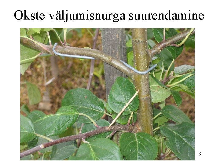 Okste väljumisnurga suurendamine 9 