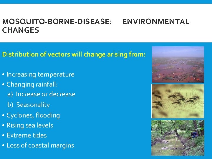 MOSQUITO-BORNE-DISEASE: CHANGES ENVIRONMENTAL Distribution of vectors will change arising from: • Increasing temperature •