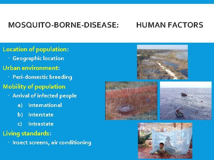 MOSQUITO-BORNE-DISEASE: Location of population: Geographic location Urban environment: Peri-domestic breeding Mobility of population Arrival