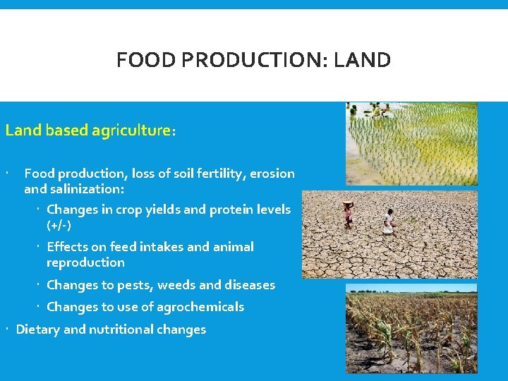 FOOD PRODUCTION: LAND Land based agriculture: Food production, loss of soil fertility, erosion and