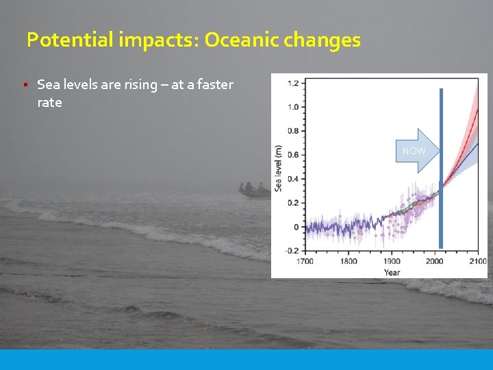 Potential impacts: Oceanic changes § Sea levels are rising – at a faster rate